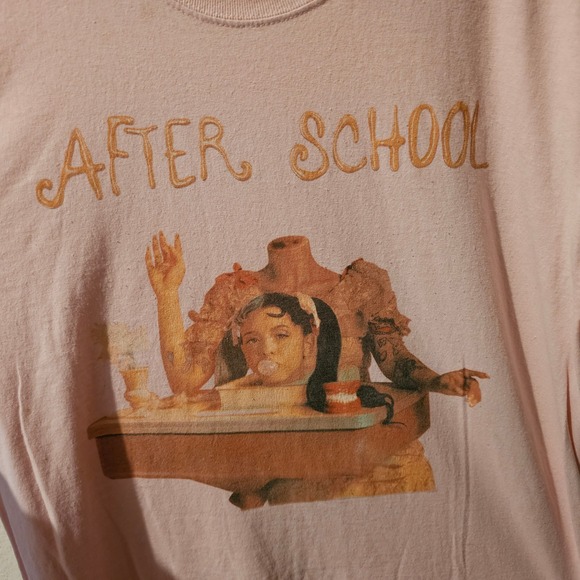 Gildan Pink After School Graphic T Shirt Men Heavy Cotton - Picture 2 of 4